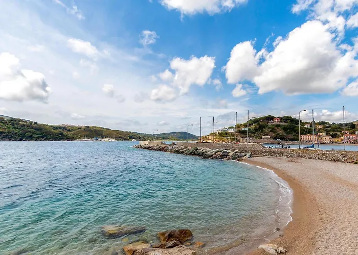 Pet Friendly In Appartement